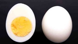 pic boiled egg