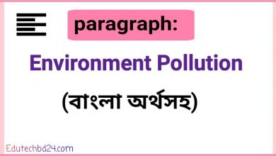 Photo of Environment Pollution Paragraph (বাংলা অনুবাদসহ)