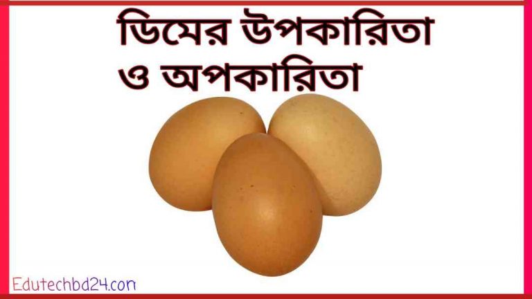 pic ডিমের উপকারিতা ও অপকারিতা