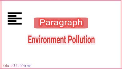 Photo of Environment Pollution Paragraph (বাংলা অনুবাদ +PDF)