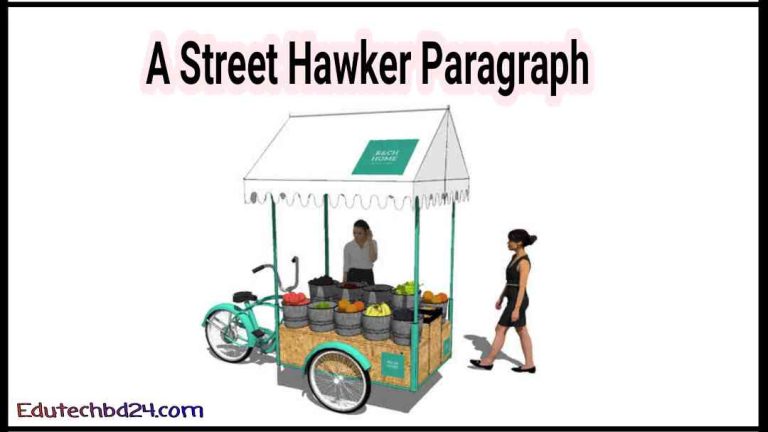 A Street Hawker Paragraph